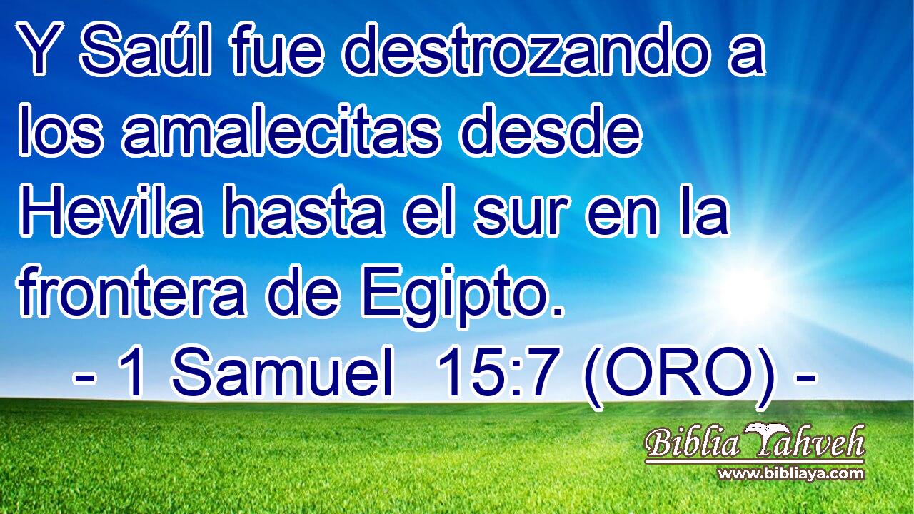  Y Saúl fue destrozando a los amalecitas desde Hevila hasta el sur en la frontera de Egipto. 