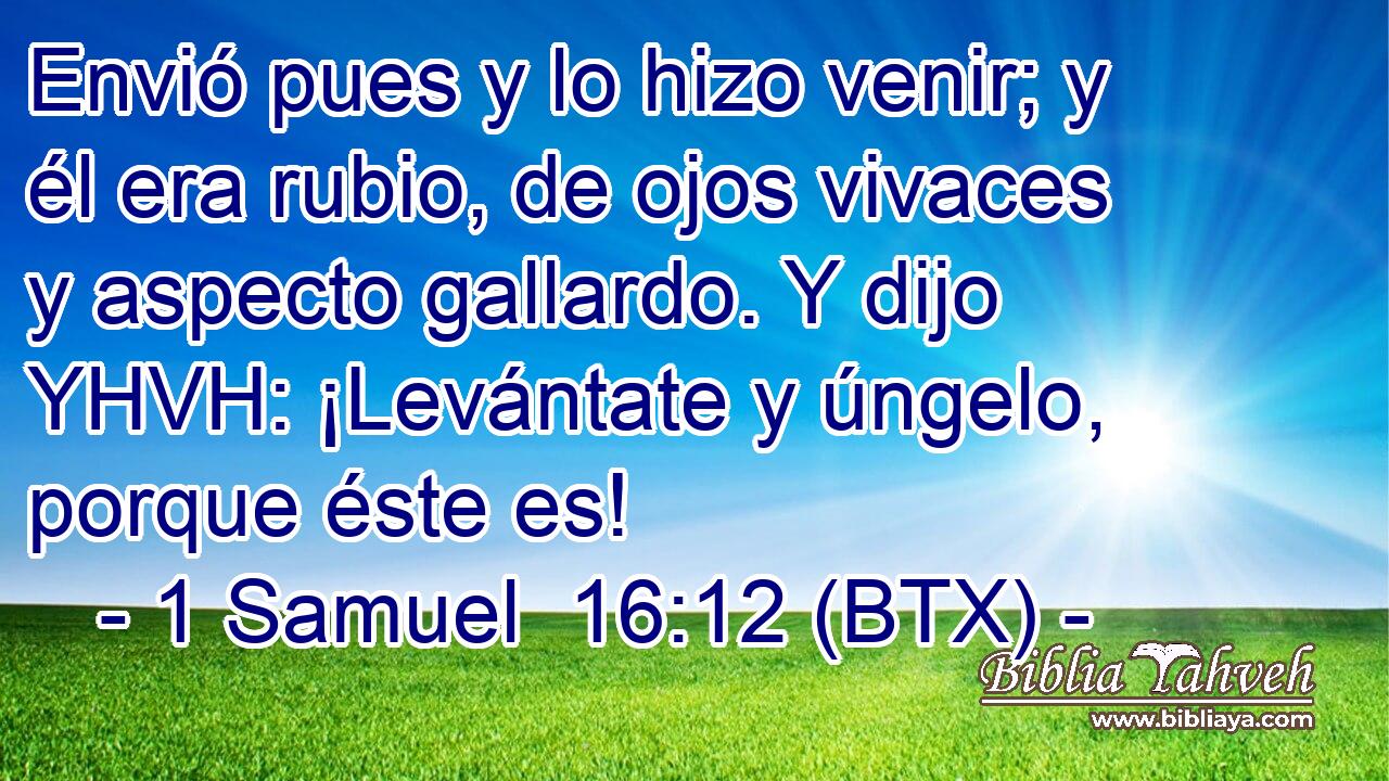 Envió pues y lo hizo venir; y él era rubio, de ojos vivaces y aspecto gallardo. Y dijo YHVH: ¡Levántate y úngelo, porque éste es!