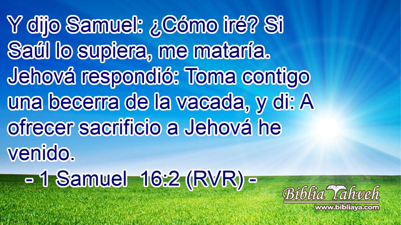 Y dijo Samuel: ¿Cómo iré? Si Saúl lo supiera, me mataría. Jehová respondió: Toma contigo una becerra de la vacada, y di: A ofrecer sacrificio a Jehová he venido.