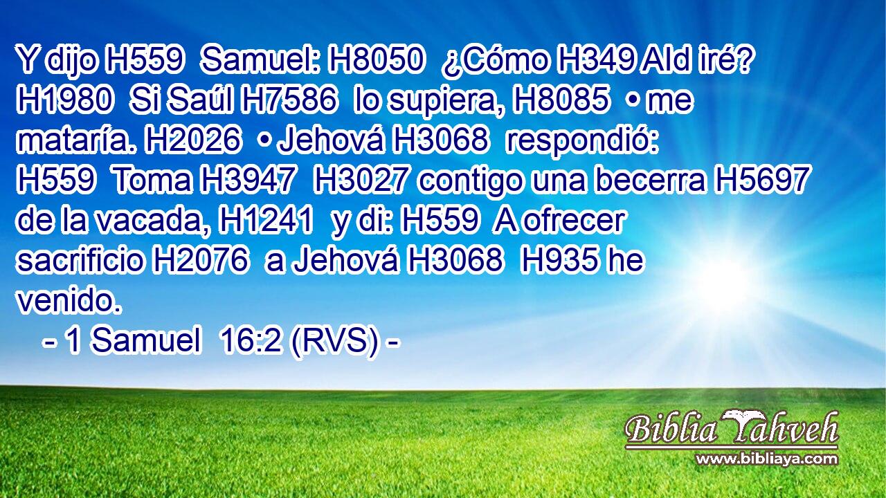 Y dijo H559  Samuel: H8050  ¿Cómo H349 AId iré? H1980  Si Saúl H7586  lo supiera, H8085  • me mataría. H2026  • Jehová H3068  respondió: H559  Toma H3947  H3027 contigo una becerra H5697  de la vacada, H1241  y di: H559  A ofrecer sacrificio H2076  a Jehová H3068  H935 he venido. 