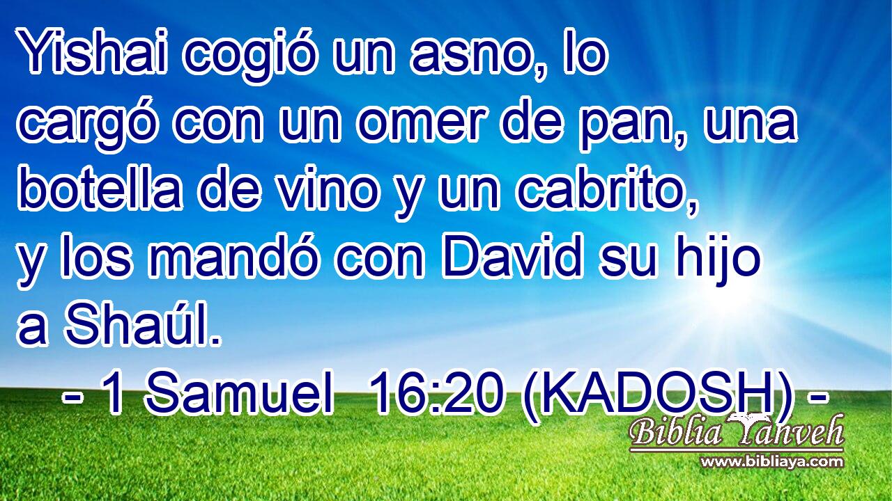  Yishai cogió un asno, lo cargó con un omer de pan, una botella de vino y un cabrito, y los mandó con David su hijo a Shaúl. 