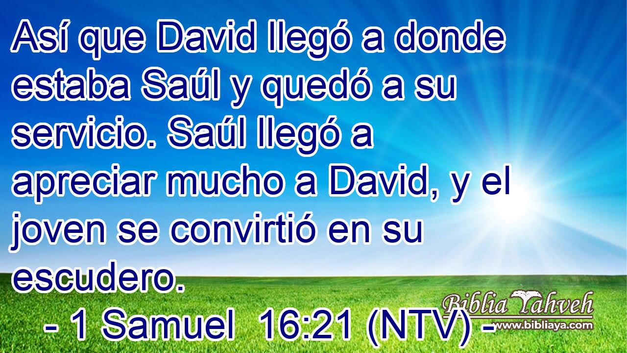 Así que David llegó a donde estaba Saúl y quedó a su servicio. Saúl llegó a apreciar mucho a David, y el joven se convirtió en su escudero.