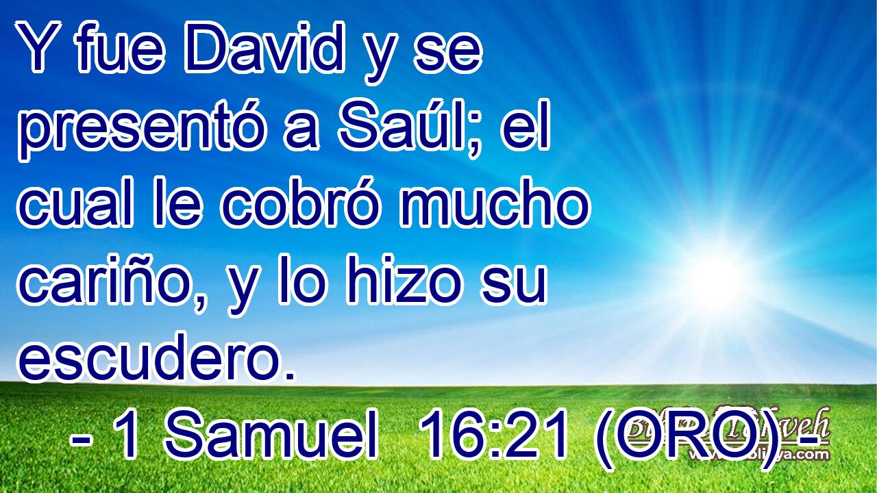  Y fue David y se presentó a Saúl; el cual le cobró mucho cariño, y lo hizo su escudero. 