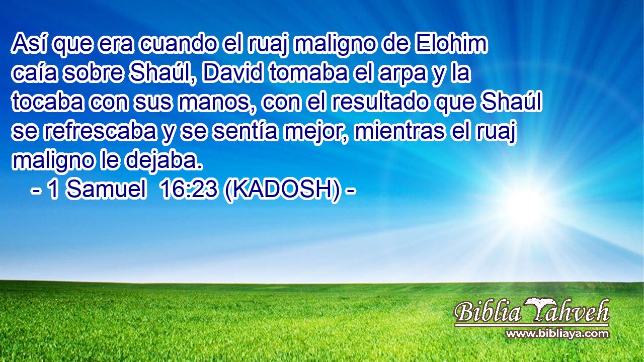  Así que era cuando el ruaj maligno de Elohim caía sobre Shaúl, David tomaba el arpa y la tocaba con sus manos, con el resultado que Shaúl se refrescaba y se sentía mejor, mientras el ruaj maligno le dejaba. 