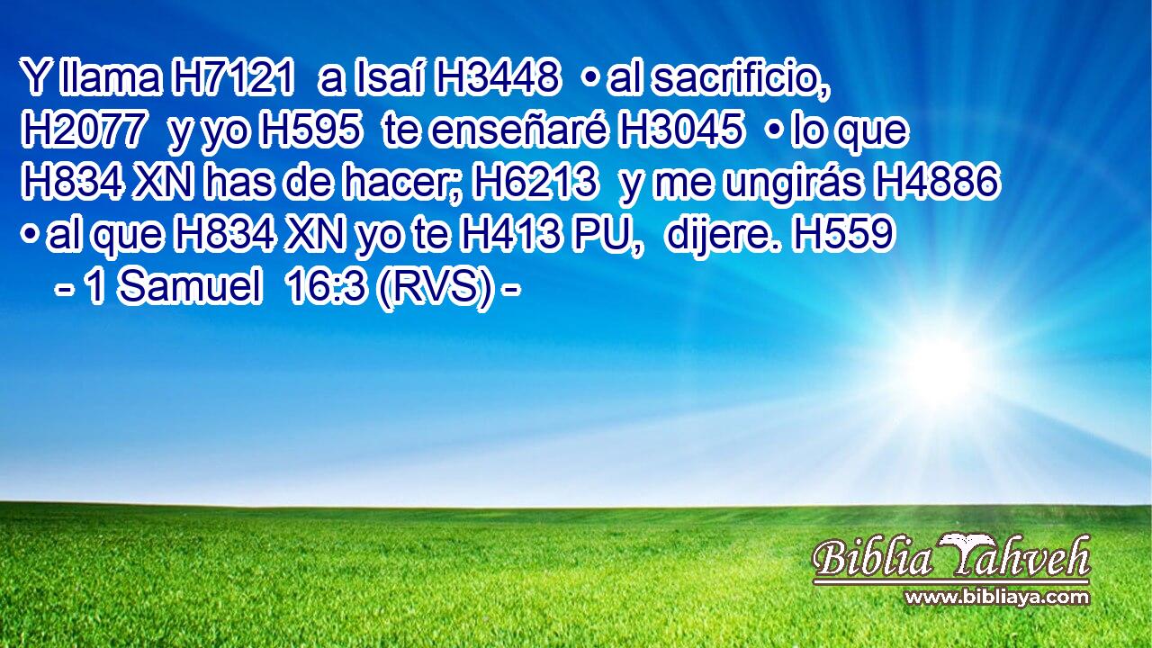 Y llama H7121  a Isaí H3448  • al sacrificio, H2077  y yo H595  te enseñaré H3045  • lo que H834 XN has de hacer; H6213  y me ungirás H4886  • al que H834 XN yo te H413 PU,  dijere. H559  