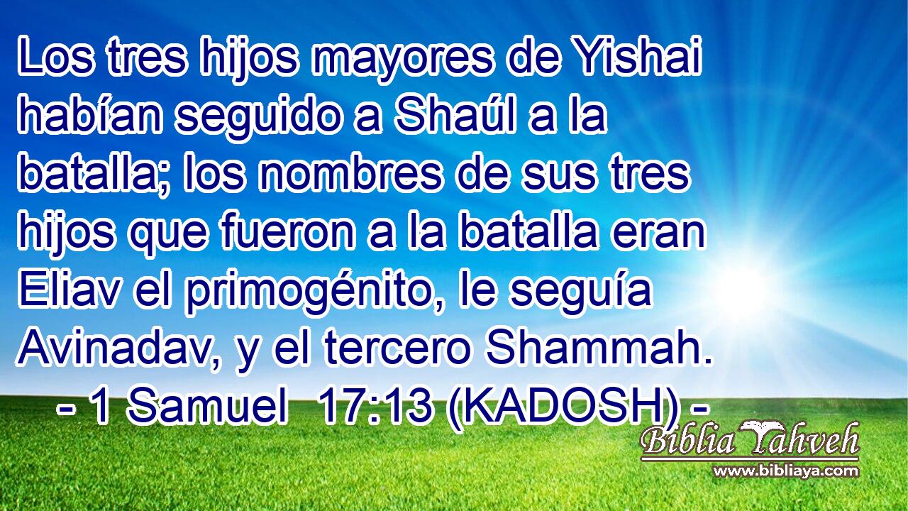  Los tres hijos mayores de Yishai habían seguido a Shaúl a la batalla; los nombres de sus tres hijos que fueron a la batalla eran Eliav el primogénito, le seguía Avinadav, y el tercero Shammah. 