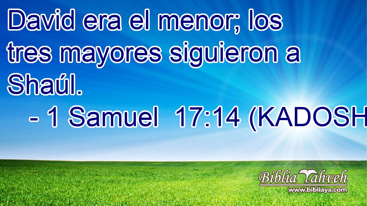  David era el menor; los tres mayores siguieron a Shaúl. 