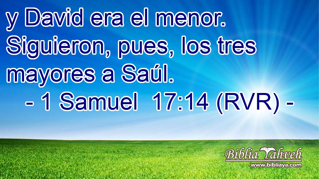 y David era el menor. Siguieron, pues, los tres mayores a Saúl.