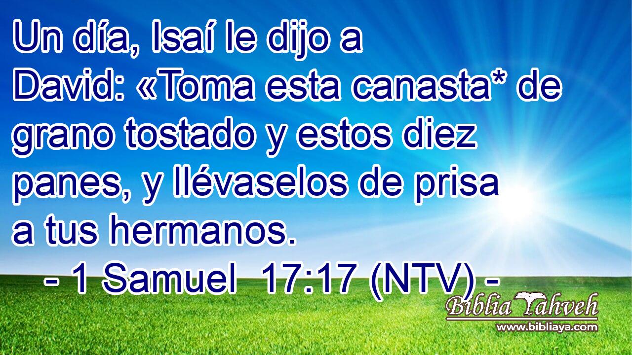 Un día, Isaí le dijo a David: «Toma esta canasta* de grano tostado y estos diez panes, y llévaselos de prisa a tus hermanos.