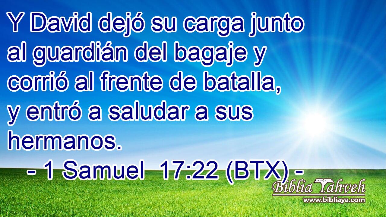 Y David dejó su carga junto al guardián del bagaje y corrió al frente de batalla, y entró a saludar a sus hermanos.