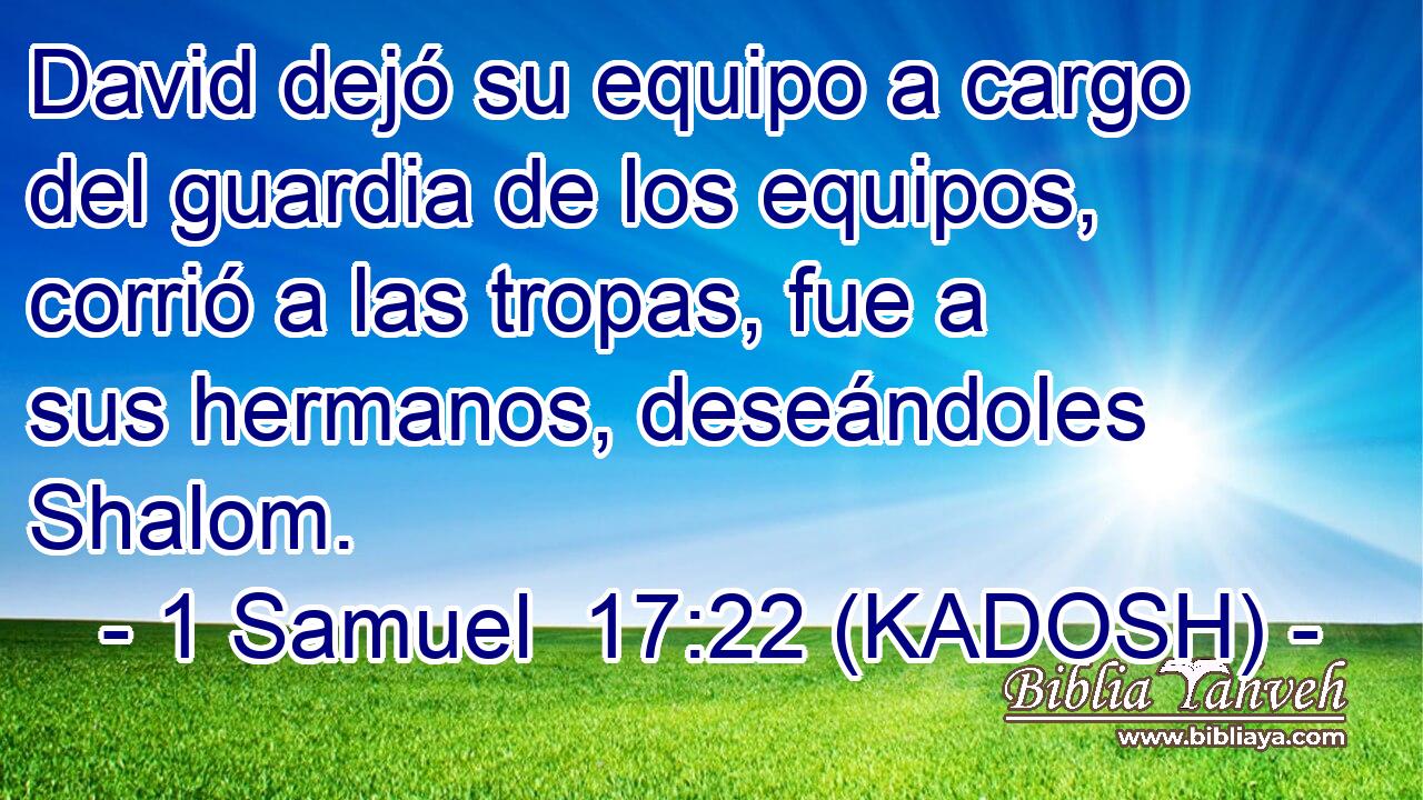  David dejó su equipo a cargo del guardia de los equipos, corrió a las tropas, fue a sus hermanos, deseándoles Shalom. 