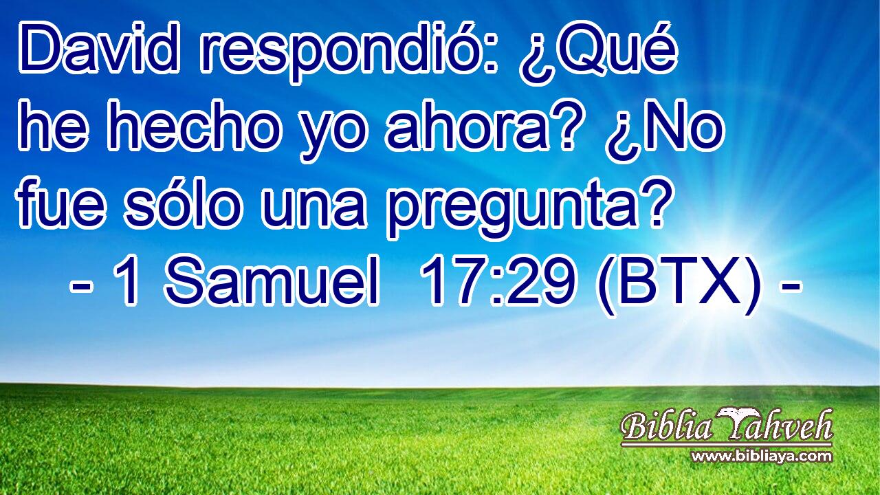 David respondió: ¿Qué he hecho yo ahora? ¿No fue sólo una pregunta?