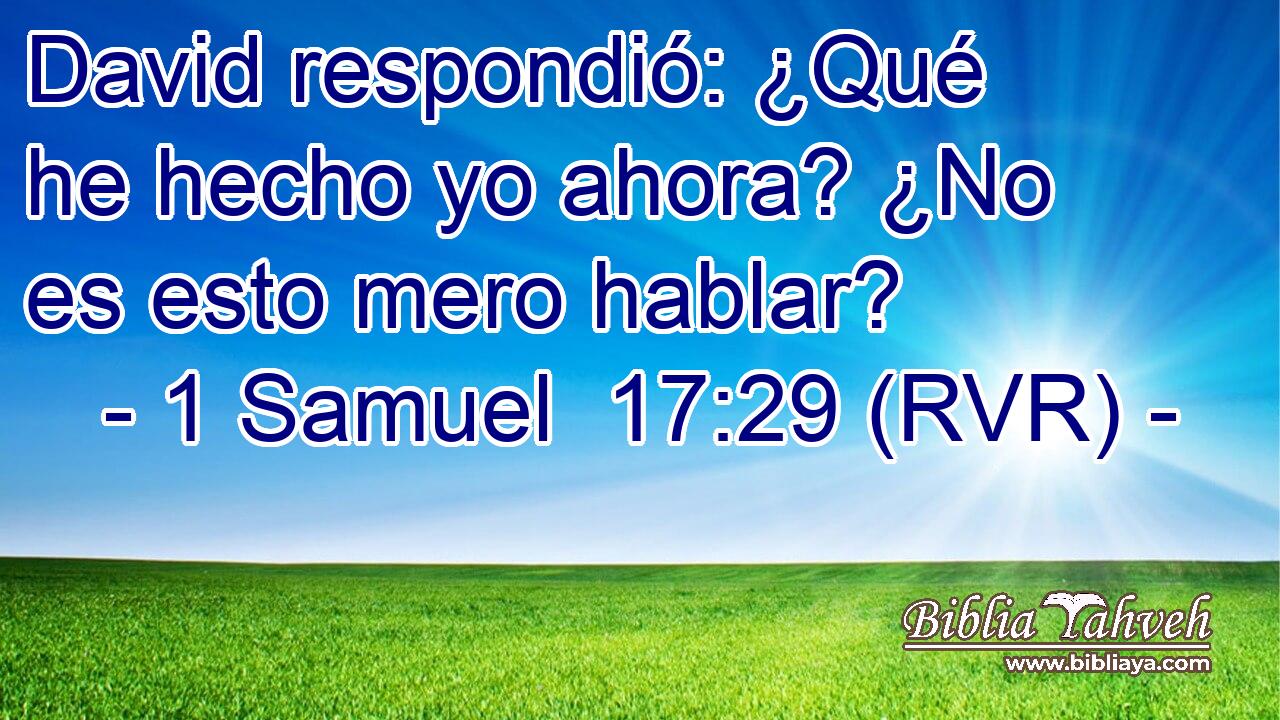 David respondió: ¿Qué he hecho yo ahora? ¿No es esto mero hablar?