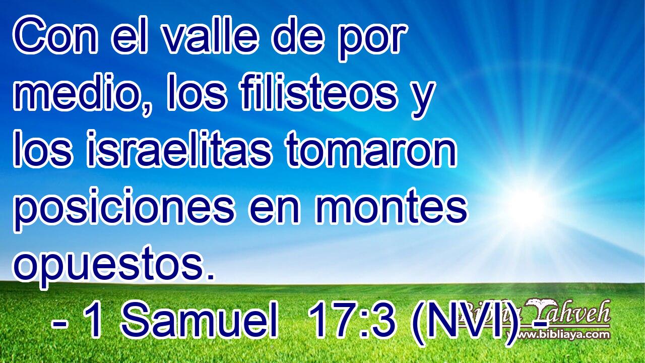  Con el valle de por medio, los filisteos y los israelitas tomaron posiciones en montes opuestos. 