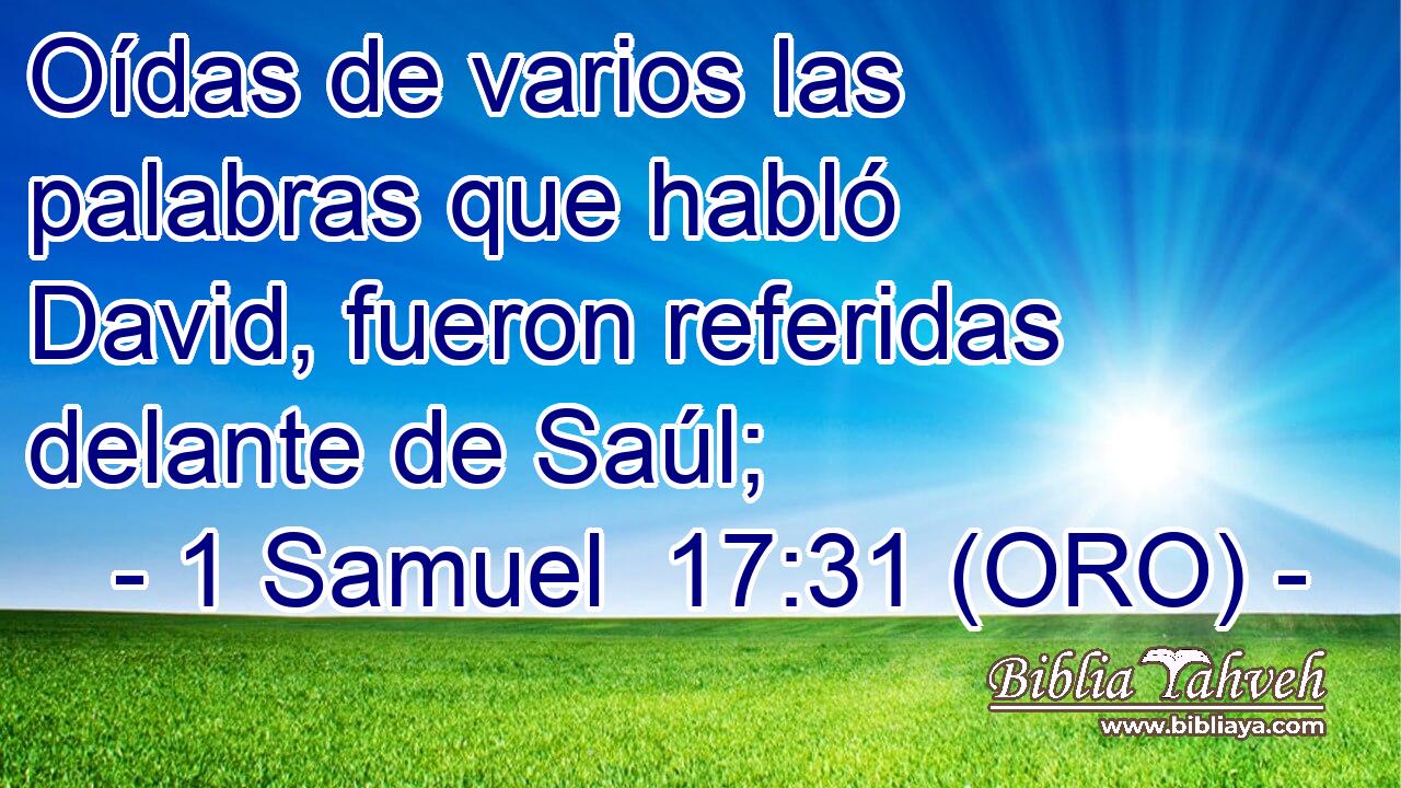  Oídas de varios las palabras que habló David, fueron referidas delante de Saúl; 