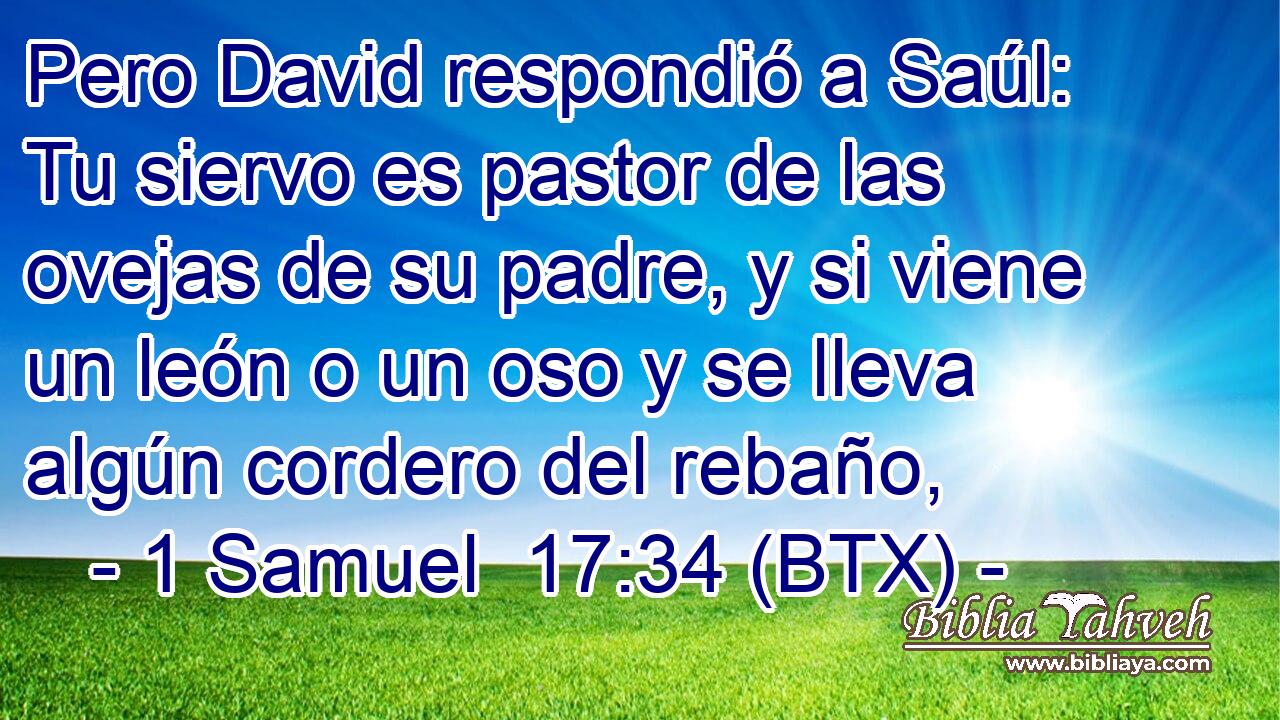 Pero David respondió a Saúl: Tu siervo es pastor de las ovejas de su padre, y si viene un león o un oso y se lleva algún cordero del rebaño,