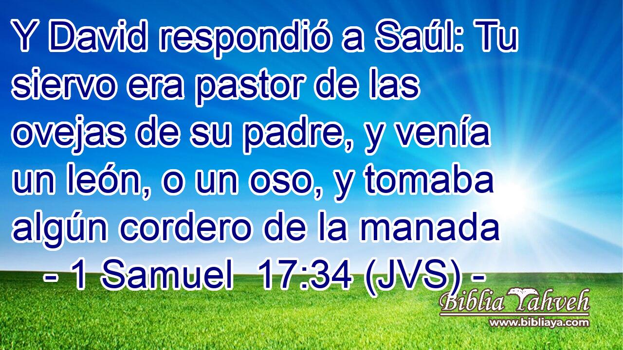 Y David respondió a Saúl: Tu siervo era pastor de las ovejas de su padre, y venía un león, o un oso, y tomaba algún cordero de la manada