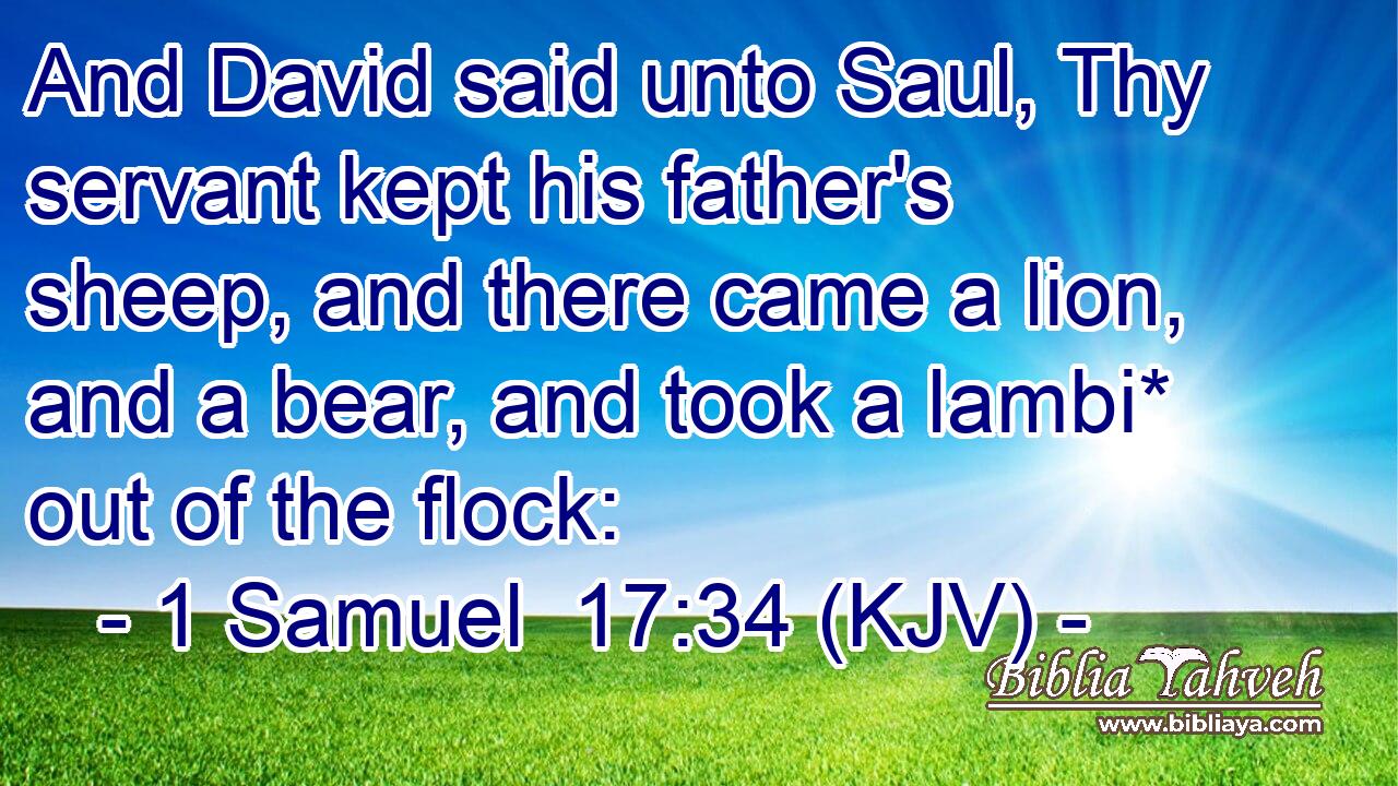 And David said unto Saul, Thy servant kept his father's sheep, and there came a lion, and a bear, and took a lambi* out of the flock:
