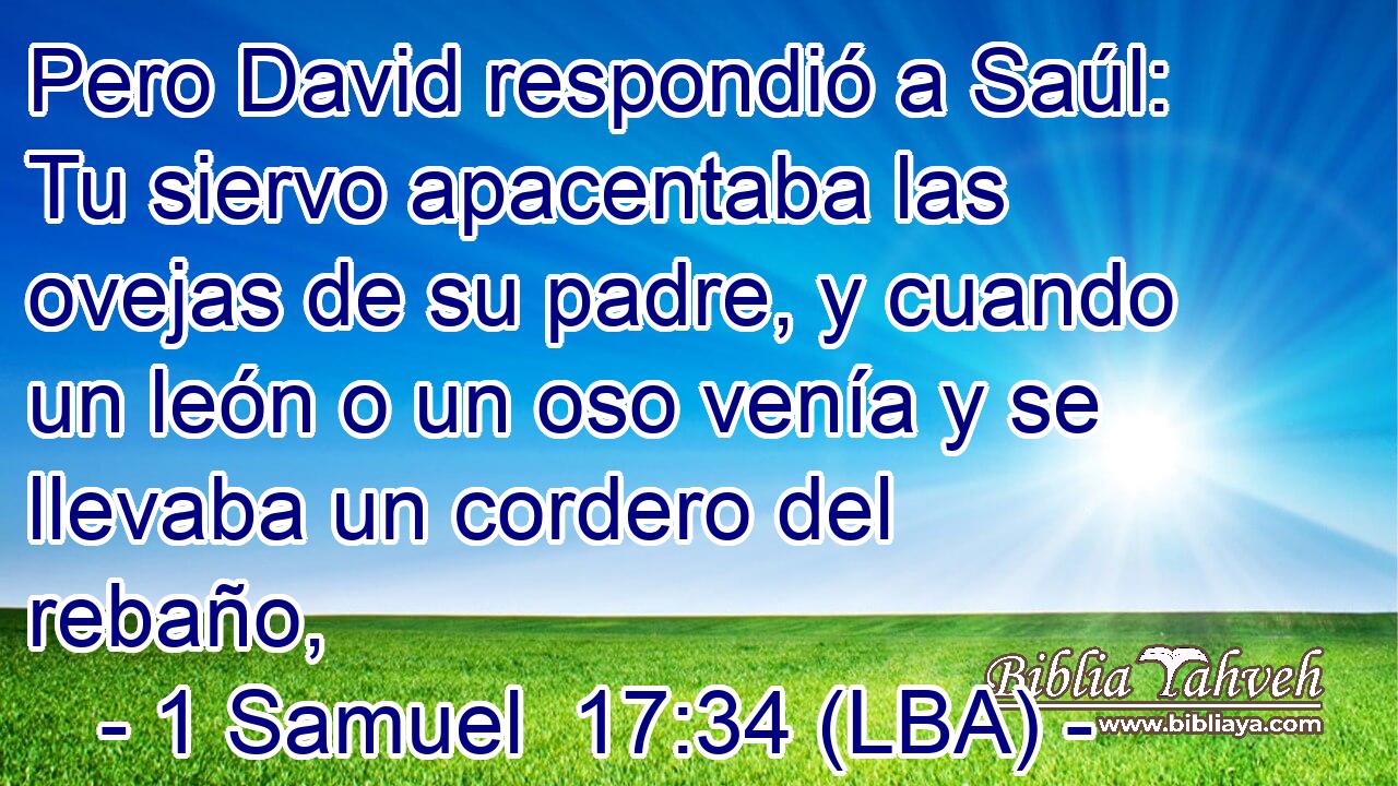 Pero David respondió a Saúl: Tu siervo apacentaba las ovejas de su padre, y cuando un león o un oso venía y se llevaba un cordero del rebaño,