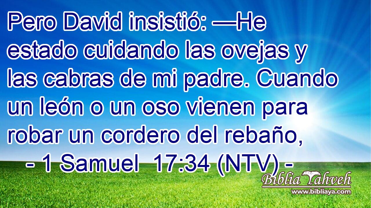 Pero David insistió: —He estado cuidando las ovejas y las cabras de mi padre. Cuando un león o un oso vienen para robar un cordero del rebaño,