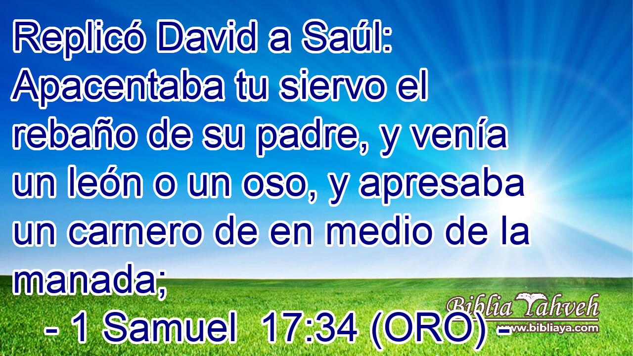  Replicó David a Saúl: Apacentaba tu siervo el rebaño de su padre, y venía un león o un oso, y apresaba un carnero de en medio de la manada; 