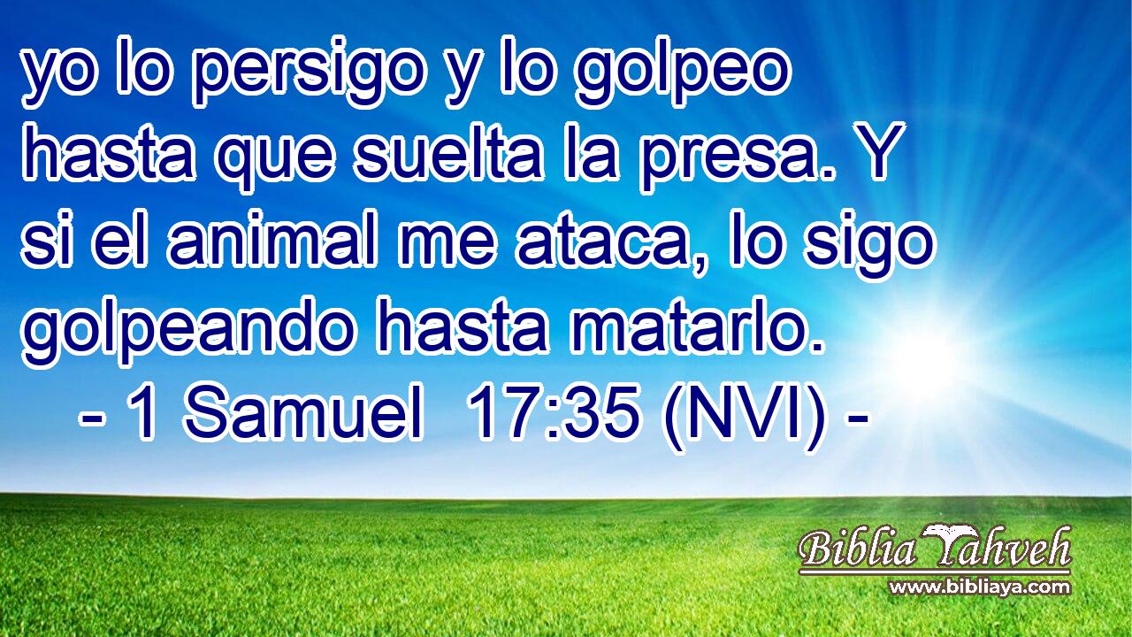  yo lo persigo y lo golpeo hasta que suelta la presa. Y si el animal me ataca, lo sigo golpeando hasta matarlo. 