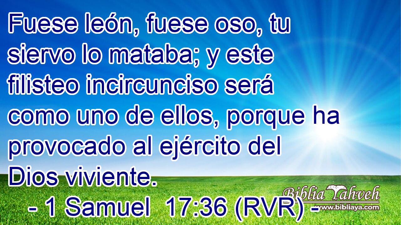 Fuese león, fuese oso, tu siervo lo mataba; y este filisteo incircunciso será como uno de ellos, porque ha provocado al ejército del Dios viviente.