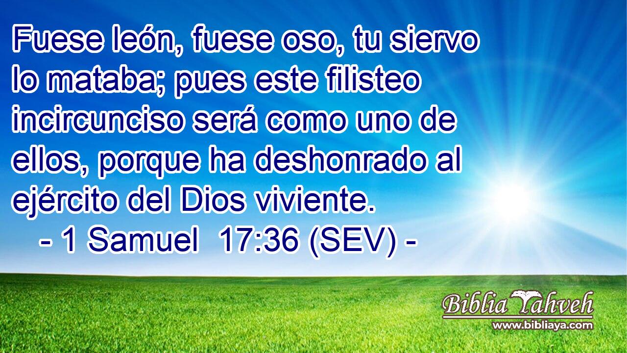 Fuese león, fuese oso, tu siervo lo mataba; pues este filisteo incircunciso será como uno de ellos, porque ha deshonrado al ejército del Dios viviente.