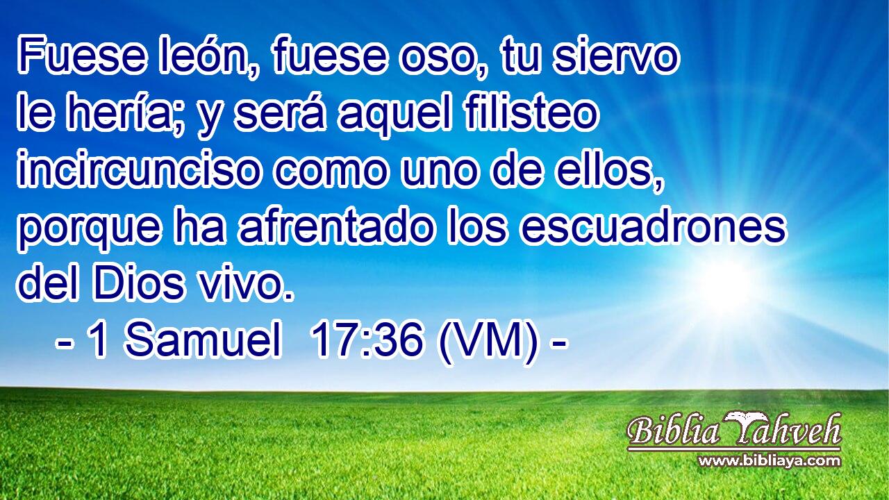  Fuese león, fuese oso, tu siervo le hería; y será aquel filisteo incircunciso como uno de ellos, porque ha afrentado los escuadrones del Dios vivo. 