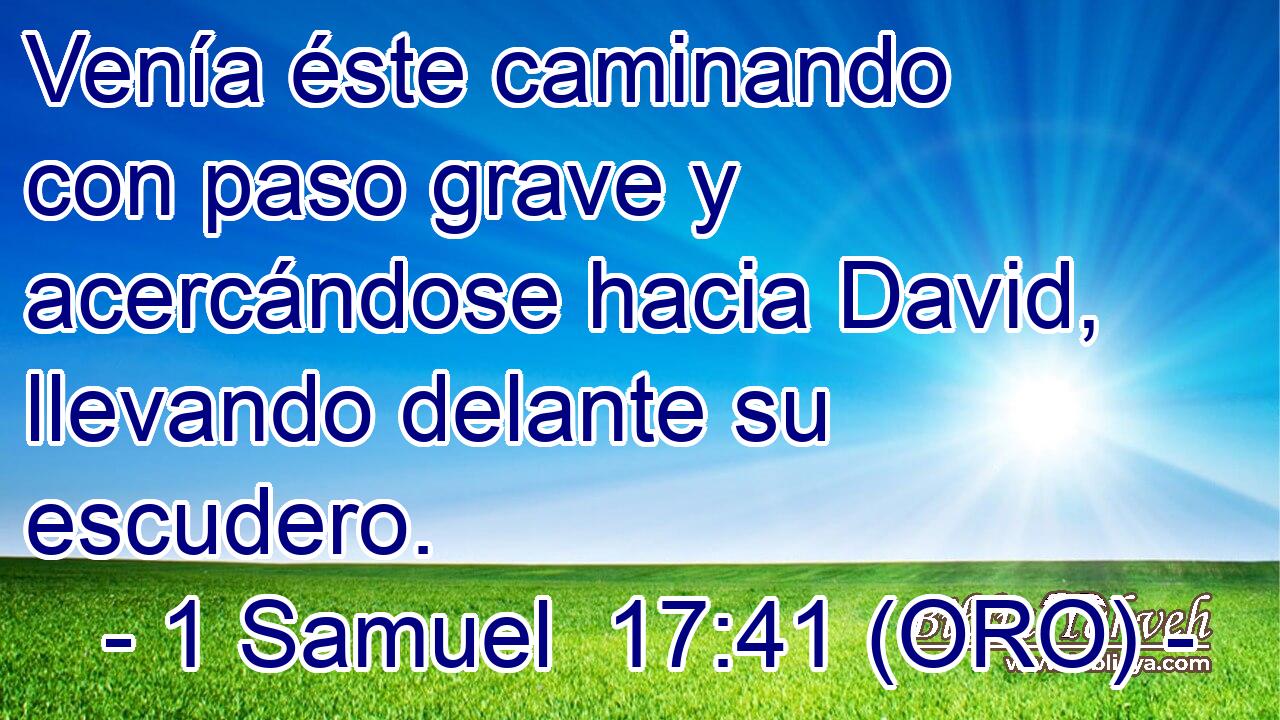  Venía éste caminando con paso grave y acercándose hacia David, llevando delante su escudero. 