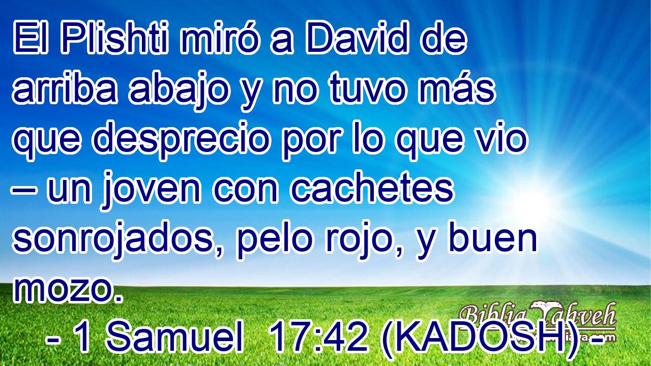  El Plishti miró a David de arriba abajo y no tuvo más que desprecio por lo que vio – un joven con cachetes sonrojados, pelo rojo, y buen mozo. 