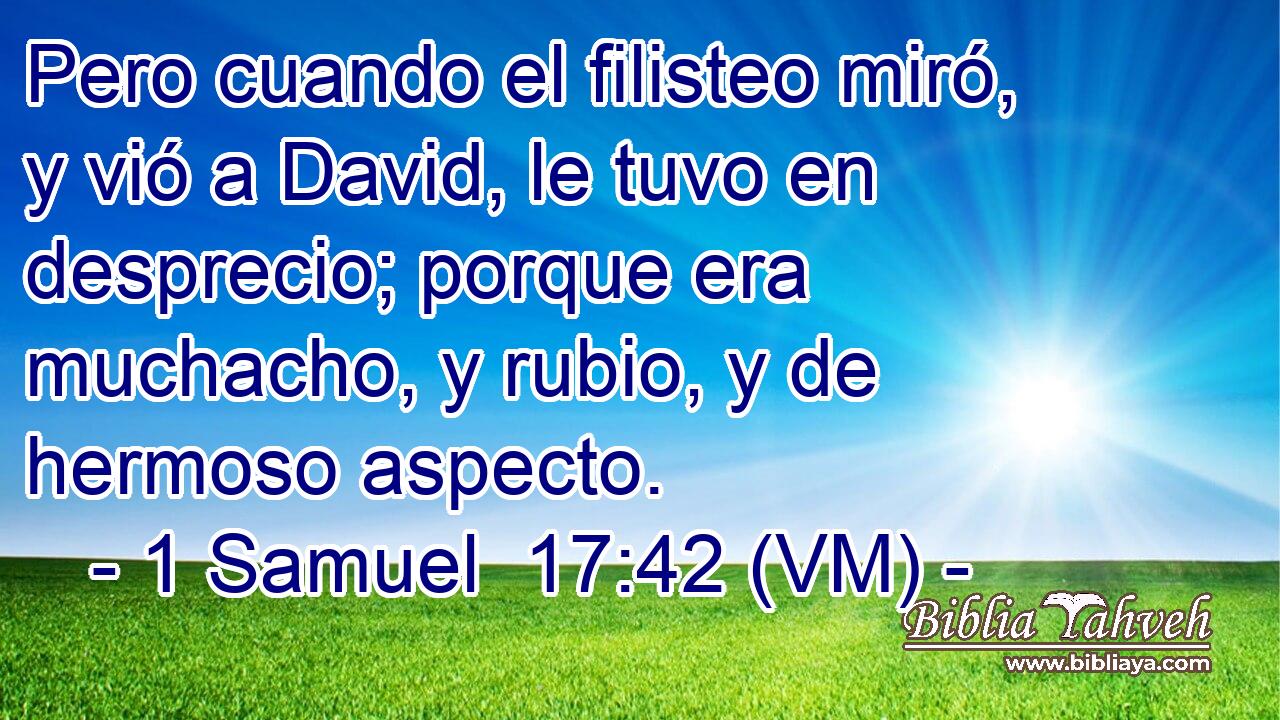  Pero cuando el filisteo miró, y vió a David, le tuvo en desprecio; porque era muchacho, y rubio, y de hermoso aspecto. 