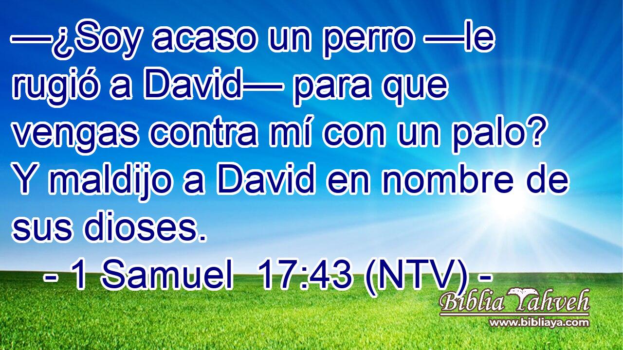—¿Soy acaso un perro —le rugió a David— para que vengas contra mí con un palo? Y maldijo a David en nombre de sus dioses.