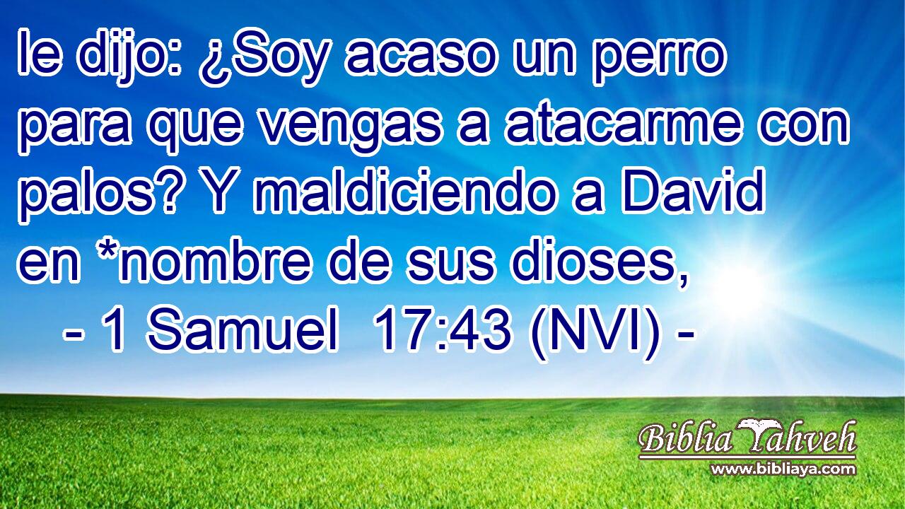 le dijo: ¿Soy acaso un perro para que vengas a atacarme con palos? Y maldiciendo a David en *nombre de sus dioses, 
