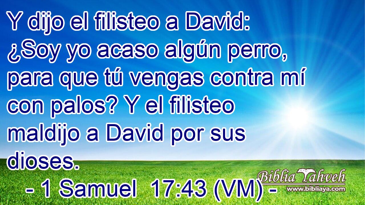  Y dijo el filisteo a David: ¿Soy yo acaso algún perro, para que tú vengas contra mí con palos? Y el filisteo maldijo a David por sus dioses. 