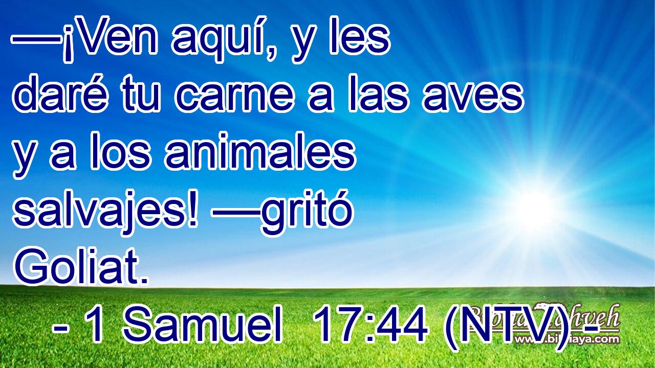 —¡Ven aquí, y les daré tu carne a las aves y a los animales salvajes! —gritó Goliat.