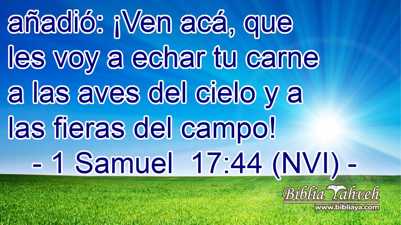  añadió: ¡Ven acá, que les voy a echar tu carne a las aves del cielo y a las fieras del campo! 