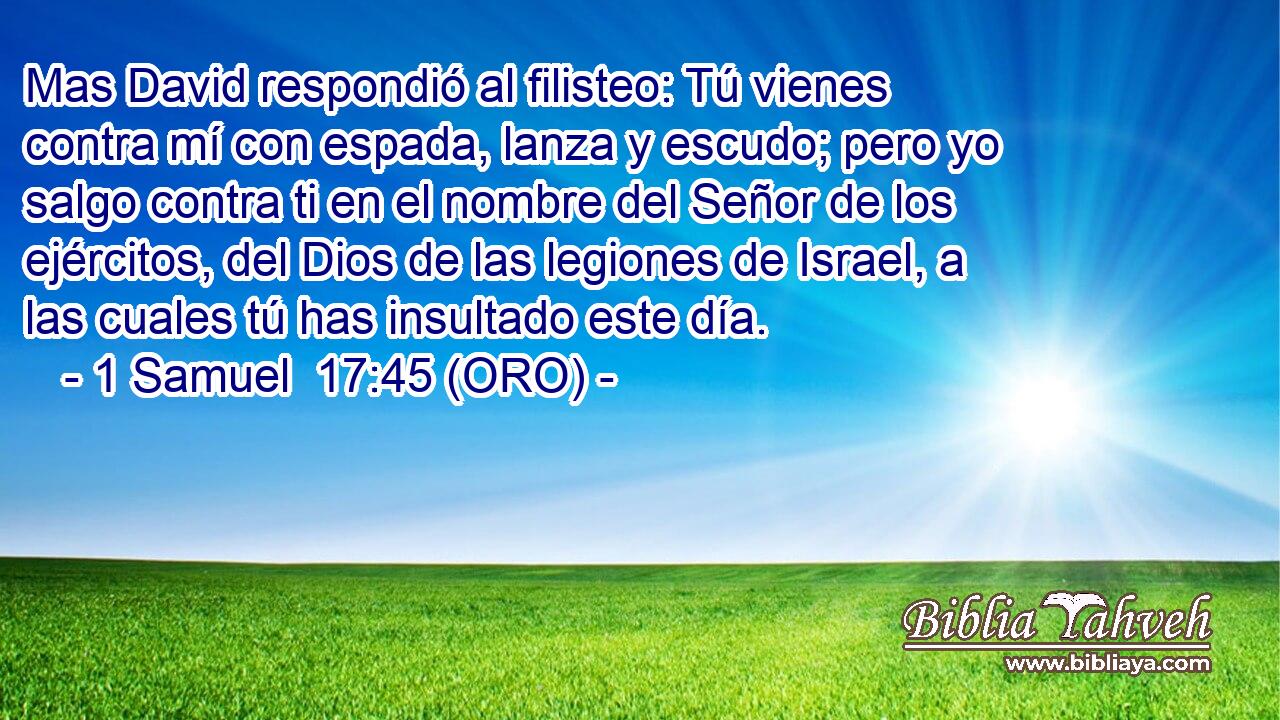  Mas David respondió al filisteo: Tú vienes contra mí con espada, lanza y escudo; pero yo salgo contra ti en el nombre del Señor de los ejércitos, del Dios de las legiones de Israel, a las cuales tú has insultado este día. 