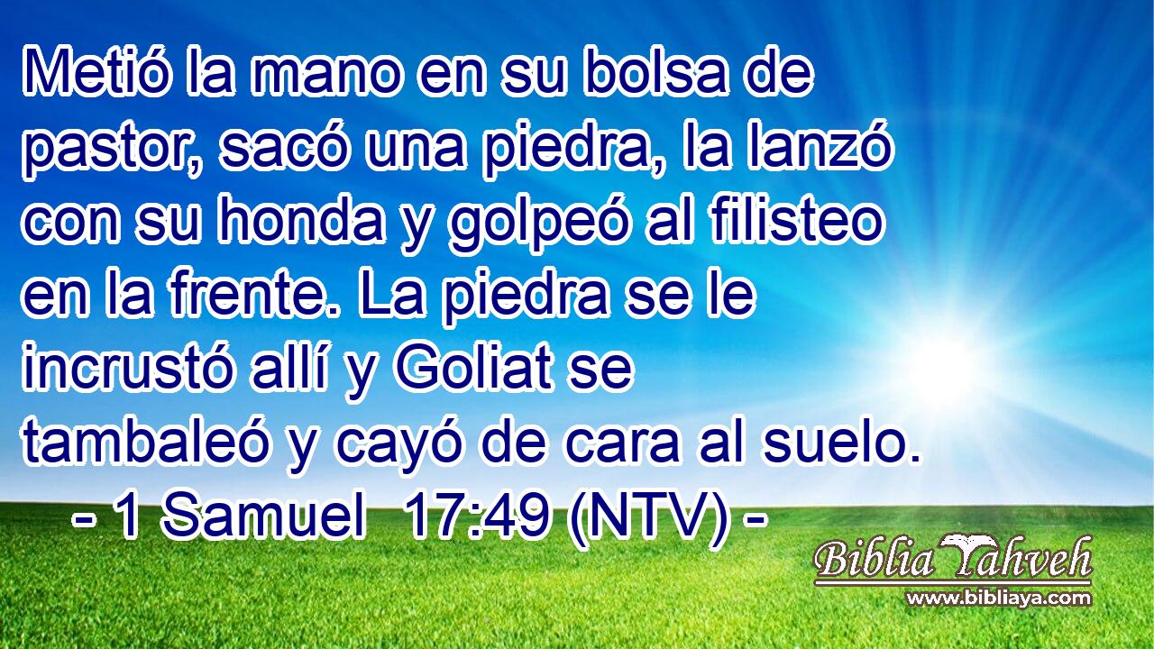 Metió la mano en su bolsa de pastor, sacó una piedra, la lanzó con su honda y golpeó al filisteo en la frente. La piedra se le incrustó allí y Goliat se tambaleó y cayó de cara al suelo.