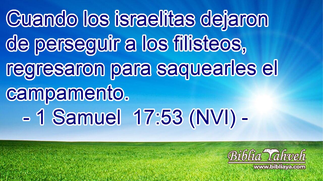  Cuando los israelitas dejaron de perseguir a los filisteos, regresaron para saquearles el campamento. 