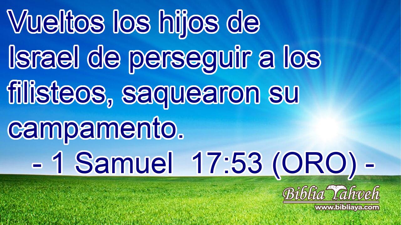  Vueltos los hijos de Israel de perseguir a los filisteos, saquearon su campamento. 