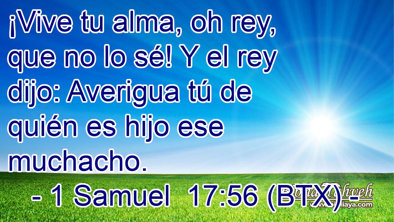 ¡Vive tu alma, oh rey, que no lo sé! Y el rey dijo: Averigua tú de quién es hijo ese muchacho.
