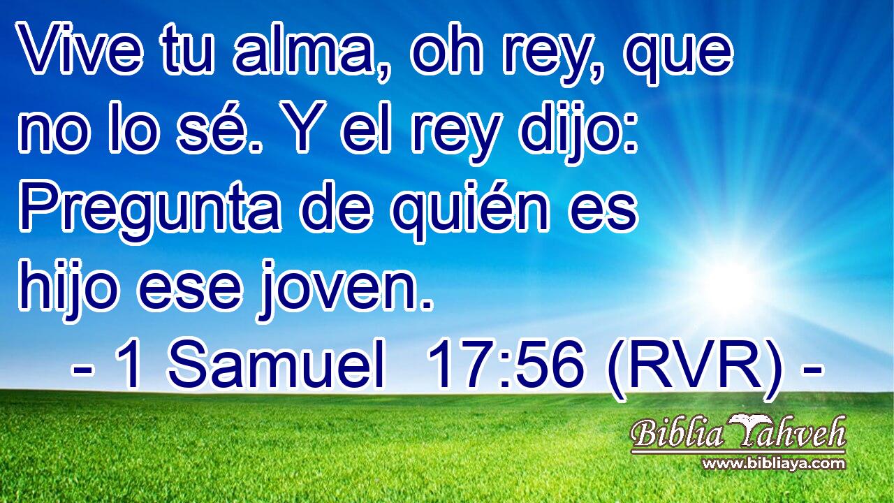 Vive tu alma, oh rey, que no lo sé. Y el rey dijo: Pregunta de quién es hijo ese joven.