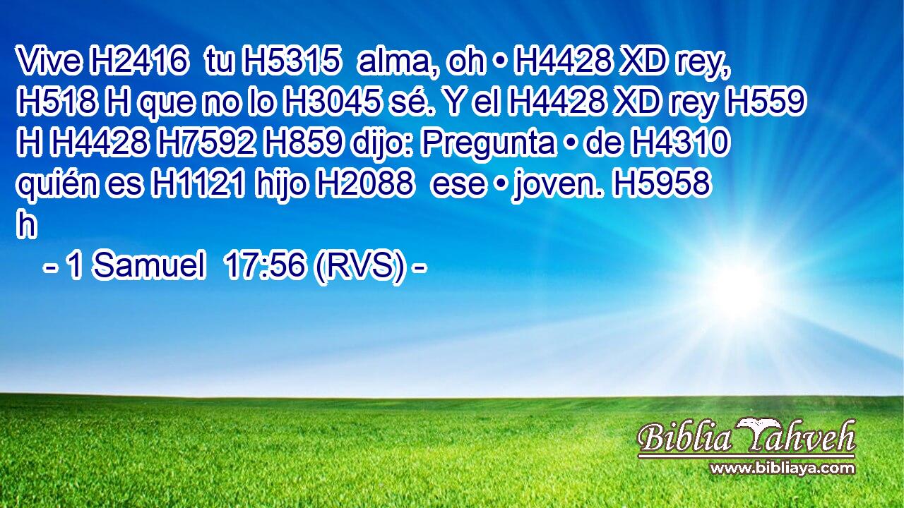 Vive H2416  tu H5315  alma, oh • H4428 XD rey, H518 H que no lo H3045 sé. Y el H4428 XD rey H559 H H4428 H7592 H859 dijo: Pregunta • de H4310 quién es H1121 hijo H2088  ese • joven. H5958 h 
