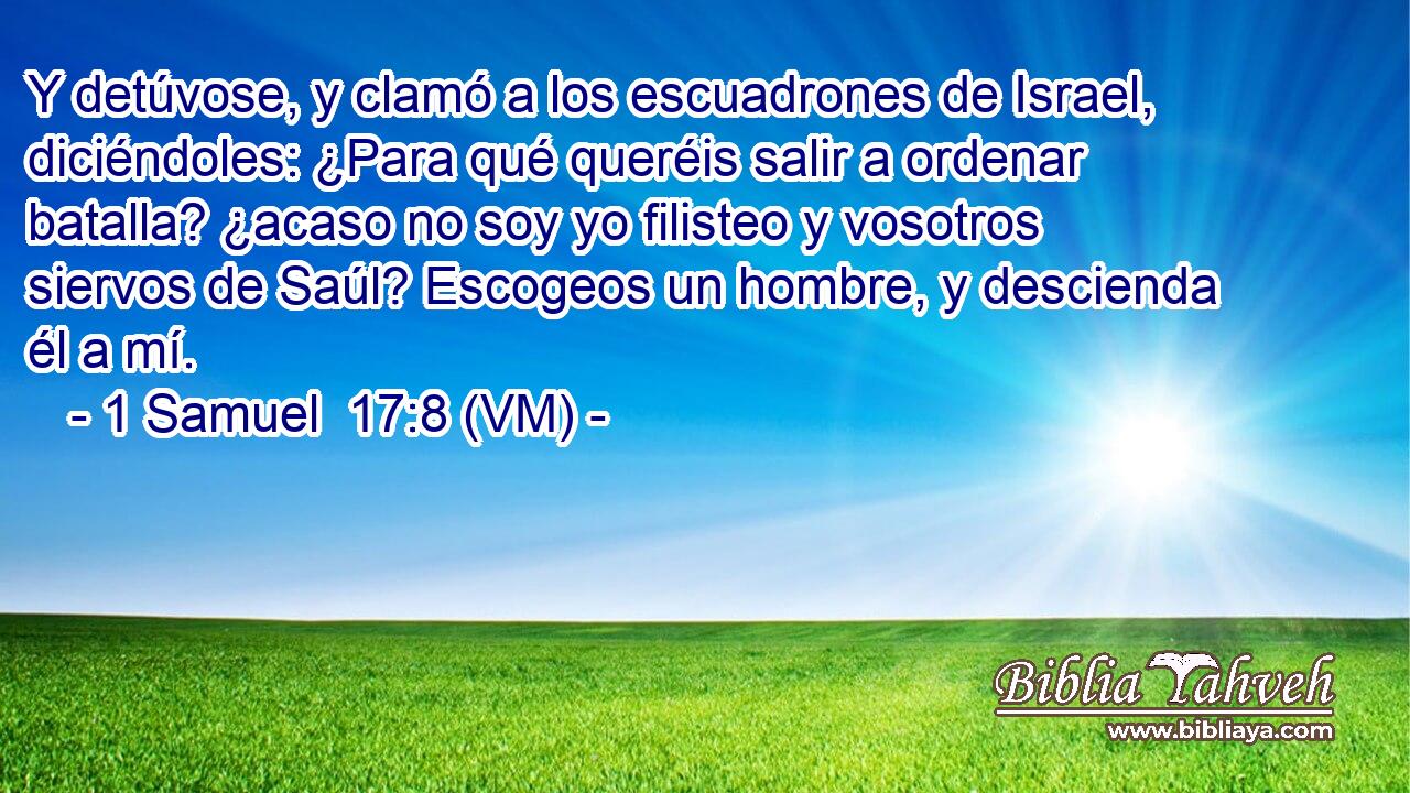  Y detúvose, y clamó a los escuadrones de Israel, diciéndoles: ¿Para qué queréis salir a ordenar batalla? ¿acaso no soy yo filisteo y vosotros siervos de Saúl? Escogeos un hombre, y descienda él a mí. 