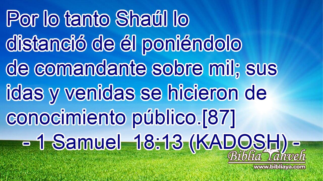  Por lo tanto Shaúl lo distanció de él poniéndolo de comandante sobre mil; sus idas y venidas se hicieron de conocimiento público.[87] 