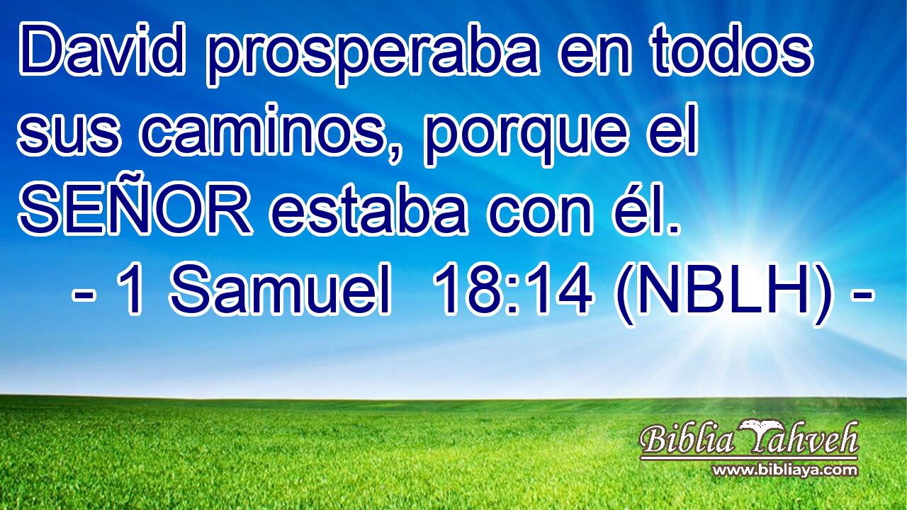  David prosperaba en todos sus caminos, porque el SEÑOR estaba con él. 