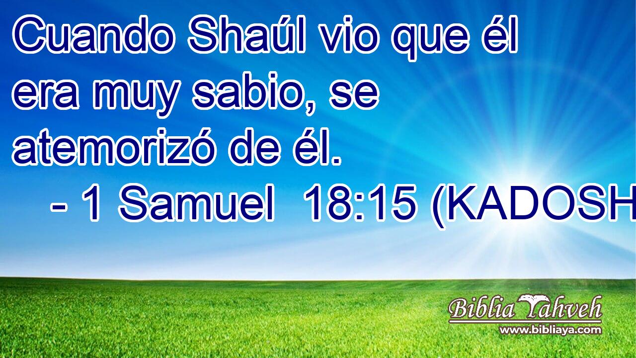  Cuando Shaúl vio que él era muy sabio, se atemorizó de él. 