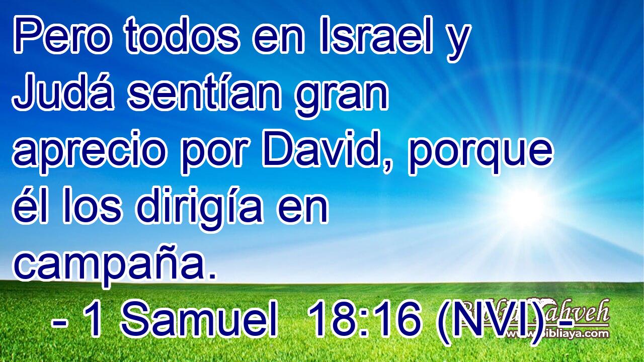  Pero todos en Israel y Judá sentían gran aprecio por David, porque él los dirigía en campaña. 