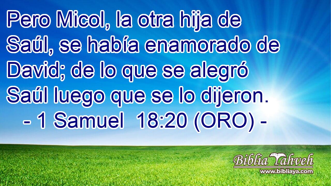  Pero Micol, la otra hija de Saúl, se había enamorado de David; de lo que se alegró Saúl luego que se lo dijeron. 